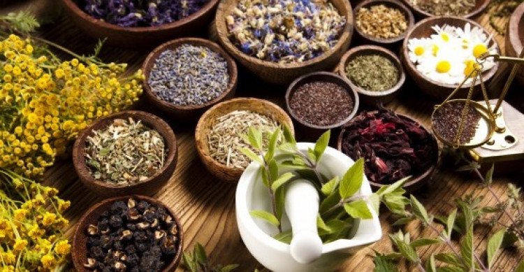 Tanaman Herbal Untuk Mengatasi Disfungsi Ereksi